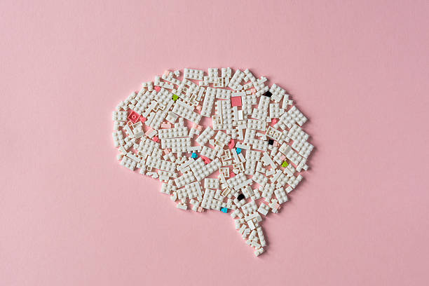 Illustrated puzzle-piece brain representing neuroplasticity and human development
